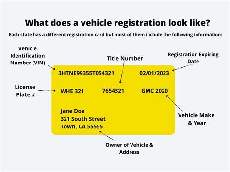 Vehicle Registration 